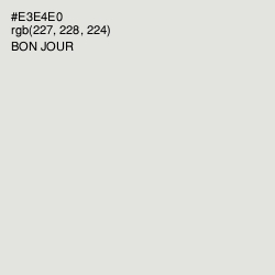 #E3E4E0 - Bon Jour Color Image